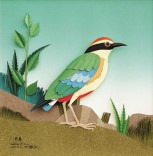 Fairy Pitta by Chen Wen Wang